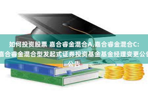 如何投资股票 嘉合睿金混合A,嘉合睿金混合C: 嘉合睿金混合型发起式证券投资基金基金经理变更公告