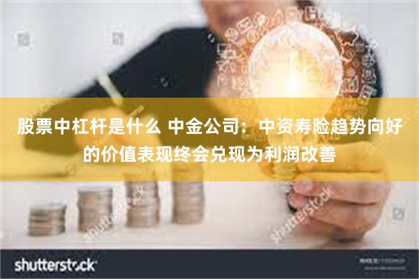 股票中杠杆是什么 中金公司：中资寿险趋势向好的价值表现终会兑现为利润改善