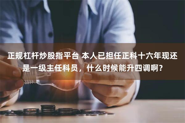 正规杠杆炒股指平台 本人已担任正科十六年现还是一级主任科员，什么时候能升四调啊？