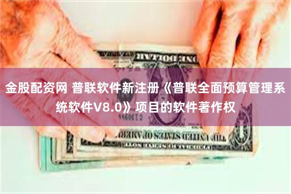 金股配资网 普联软件新注册《普联全面预算管理系统软件V8.0》项目的软件著作权