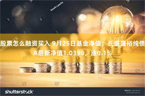 股票怎么融资买入 9月25日基金净值：长盛盛裕纯债A最新净值1.0398，涨0.1%