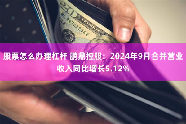 股票怎么办理杠杆 鹏鼎控股：2024年9月合并营业收入同比增长5.12%