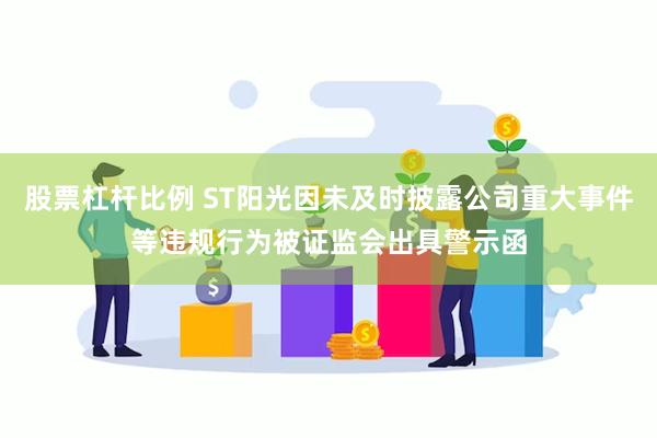 股票杠杆比例 ST阳光因未及时披露公司重大事件等违规行为被证监会出具警示函