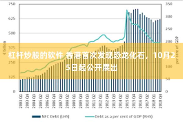 杠杆炒股的软件 香港首次发现恐龙化石，10月25日起公开展出