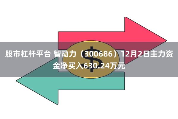 股市杠杆平台 智动力（300686）12月2日主力资金净买入630.24万元