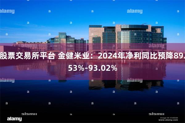 股票交易所平台 金健米业：2024年净利同比预降89.53%-93.02%