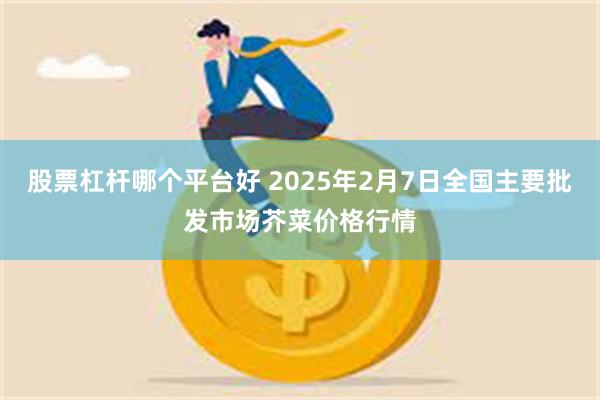 股票杠杆哪个平台好 2025年2月7日全国主要批发市场芥菜价格行情